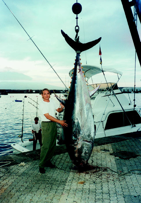 Giant bluefin tuna photo - 814 lns - Azores