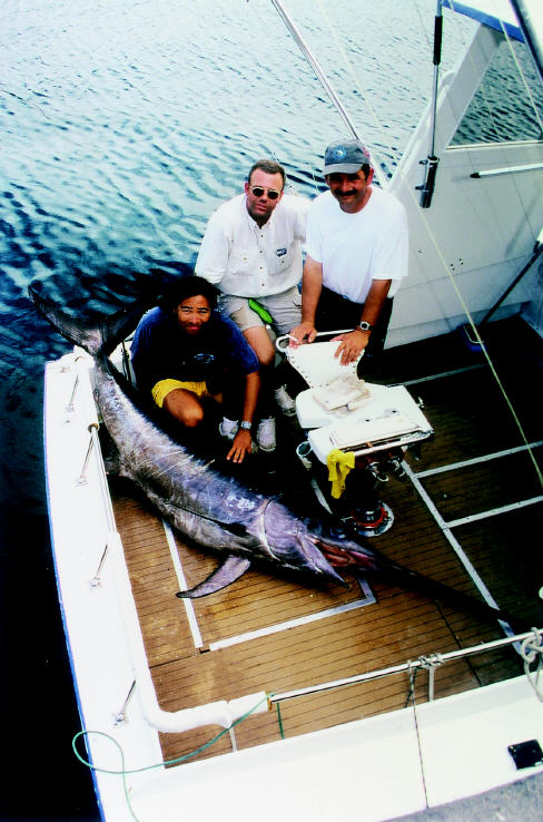 photo of swordfish - 292 lbs - Azores