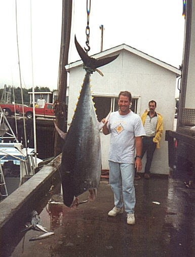 photo of giant bluefin tuna - 530 lbs - caught stand-uup by John Whalen - Nova Scotia 1998