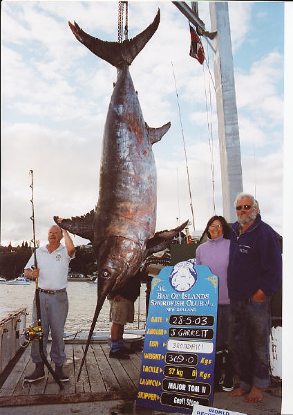 photo of pending world record swordfish - 813 lbs. - Bay of Islands, New Zealand