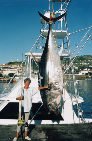 World record bluefin tuna - 974 lbs