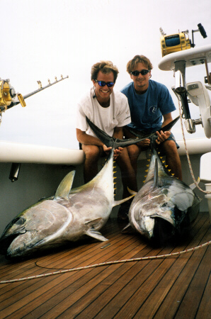 Photo of two bigeye tuna 175 to 200 lbs - Azores
