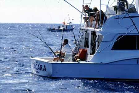 Photo of Xacara tuna fishing - Azores