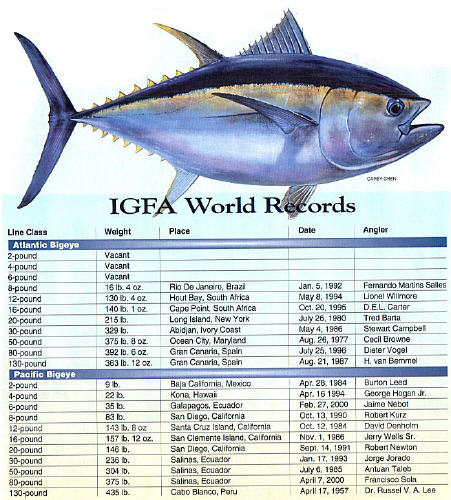 IGFA World Records for Bigeye Tuna