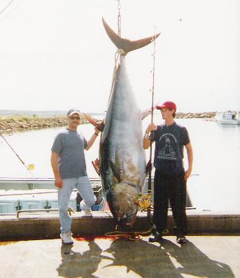 Photo of giant bluefin tuna weighing 740 lbs.