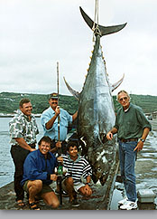 Giant bluefin tuna photo 1002 lbs Azores