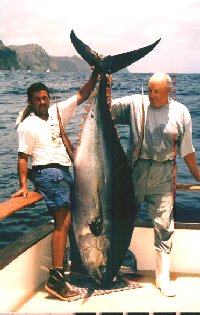 photo of huge yellowfin tuna