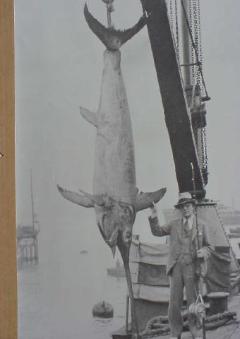 photo of George Garey and a massive swordfish caught in Chile