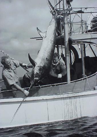 photo of Michael Lerner and swordfish from his 1940 Peru-Chile Expedition