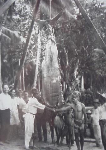Old School Marlin Fishing - Catching marlin on Zane Grey's antique tackle 